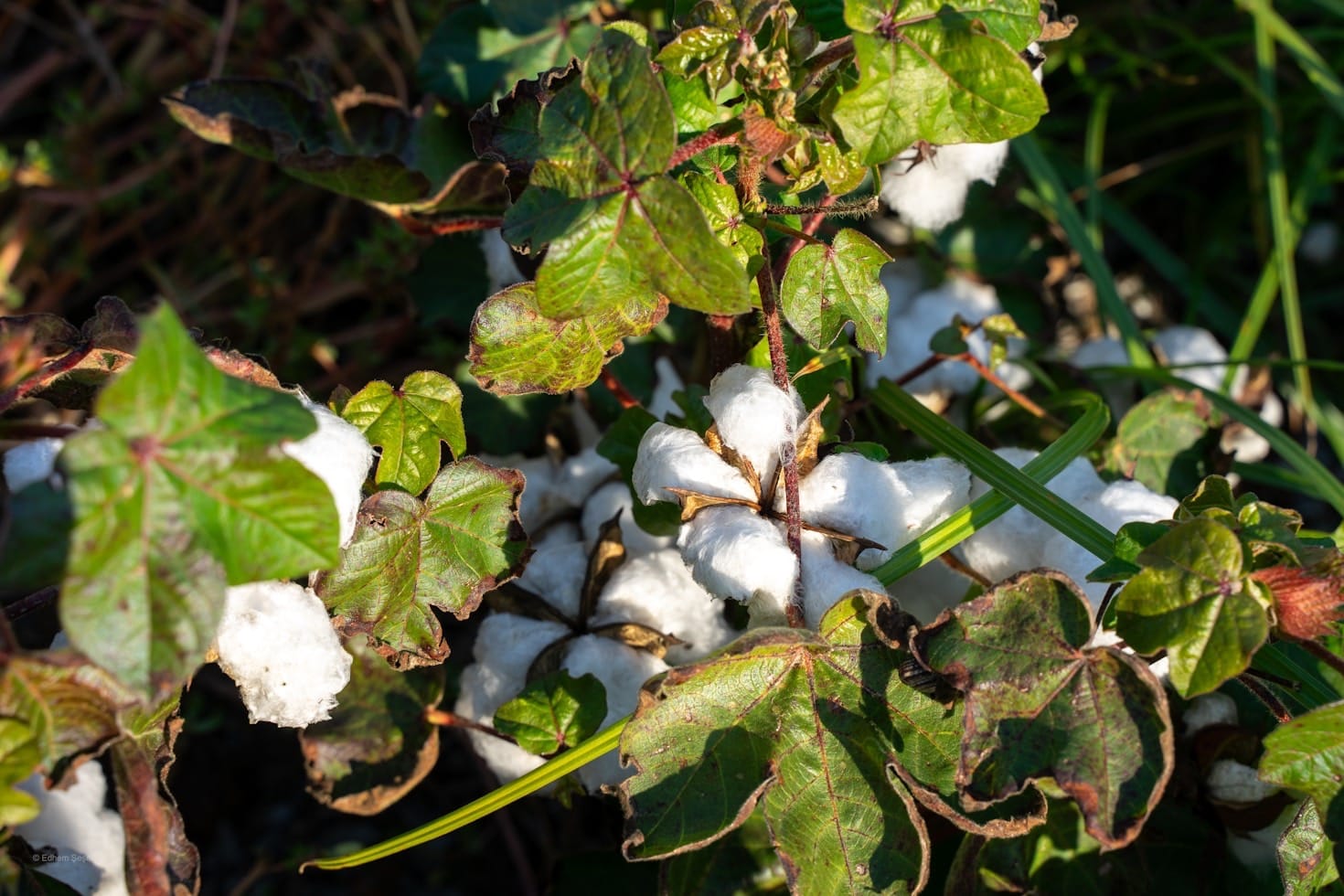 Supporting Local Communities Through Sustainable Medical Wear