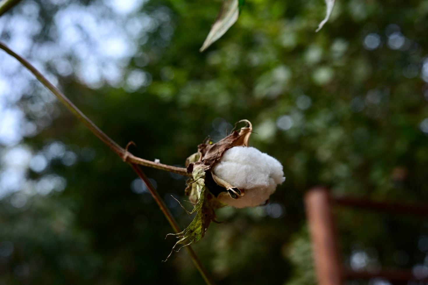 How Gurami is Changing the Face of Medical Apparel
